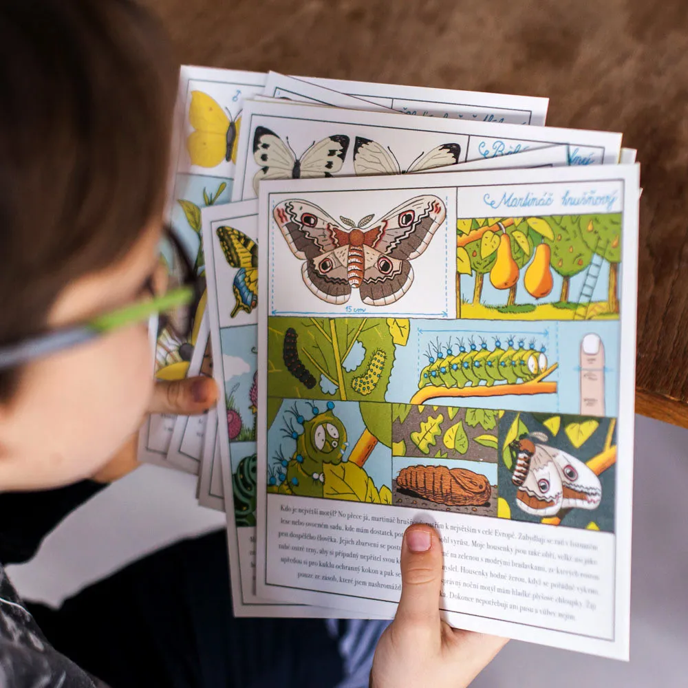 Montessori für 6-9-Jährige: Mutig in die Gesellschaft